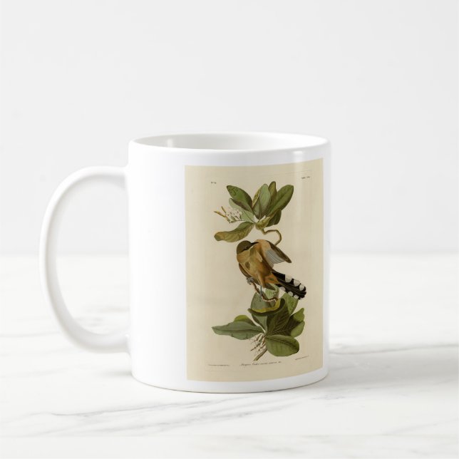 Mangrove Cuckoo from Audubon's Birds of America Coffee Mug (Left)