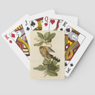 Mangrove Cuckoo from Audubon's Birds of America Playing Cards