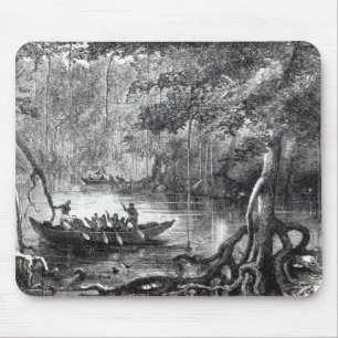 Mangrove Forest' Mouse Pad