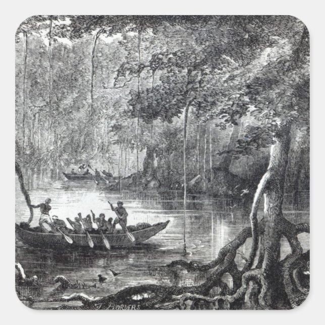 Mangrove Forest' Square Sticker (Front)