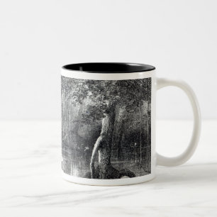 Mangrove Forest' Two-Tone Coffee Mug