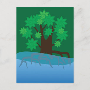 Mangrove Holiday Postcard
