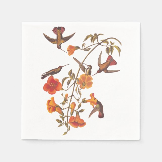Mangrove Hummingbird with Orange Flowers Napkin (Front)