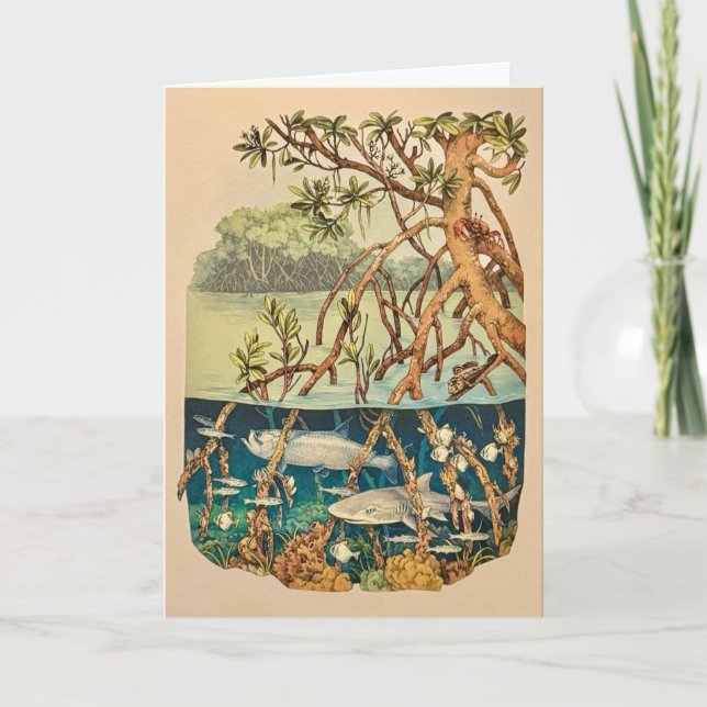 Mangrove Island Note Card (Front)