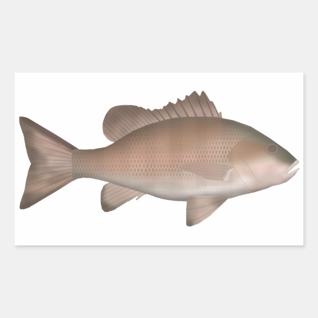 Mangrove Jack Rectangular Sticker (Front)