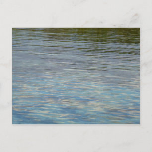Mangrove Lagoon Water Caribbean Blue Postcard