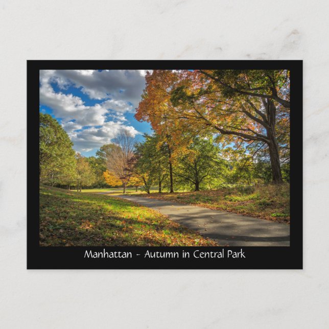 Manhattan, autumn in Central Park Postcard (Front)