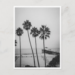 Manhattan Beach Pier and Palm Tree Black & White Postcard