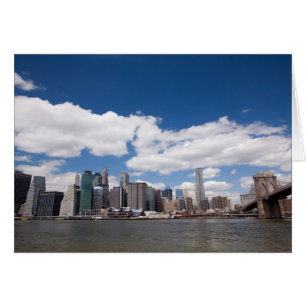 Manhattan DUMBO View