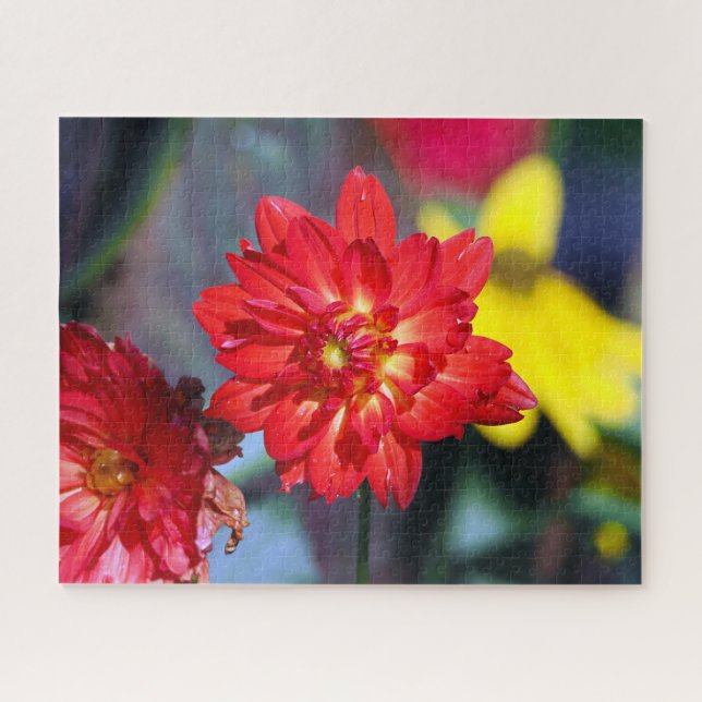Manhattan Island Dahlia Jigsaw Puzzle (Horizontal)