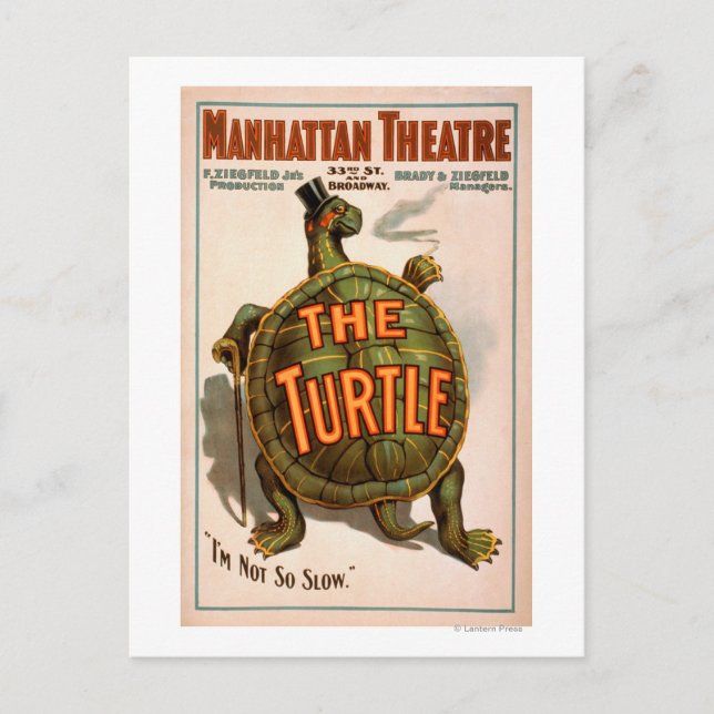 Manhattan Theatre New York Broadway The Turtle Postcard (Front)