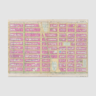 Manhatten, New York 12 Tissue Paper