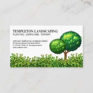 Manicured Tree   Bushes   Landscape Business Card