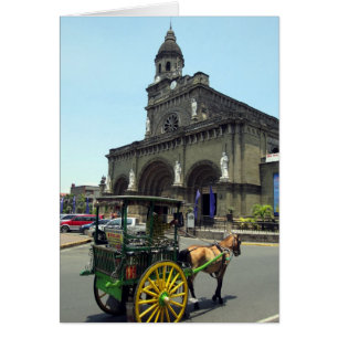 manila cathedral horse