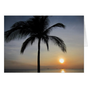 manila sunset palm