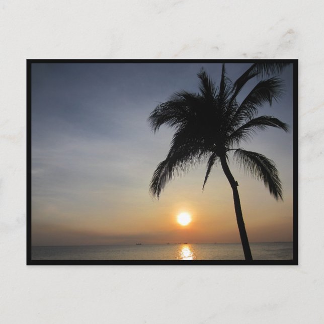 manila sunset postcard (Front)