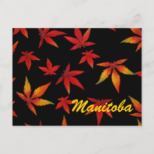 Manitoba Autumn Leaves Postcard
