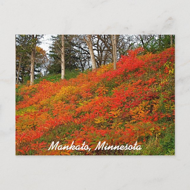 Mankato, Minnesota Postcard (Front)