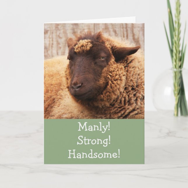 Manly Sheep Birthday Card (Front)