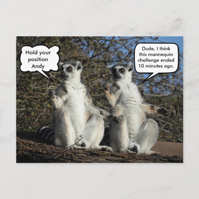 Mannequin Challenged Lemurs Postcard (Front)
