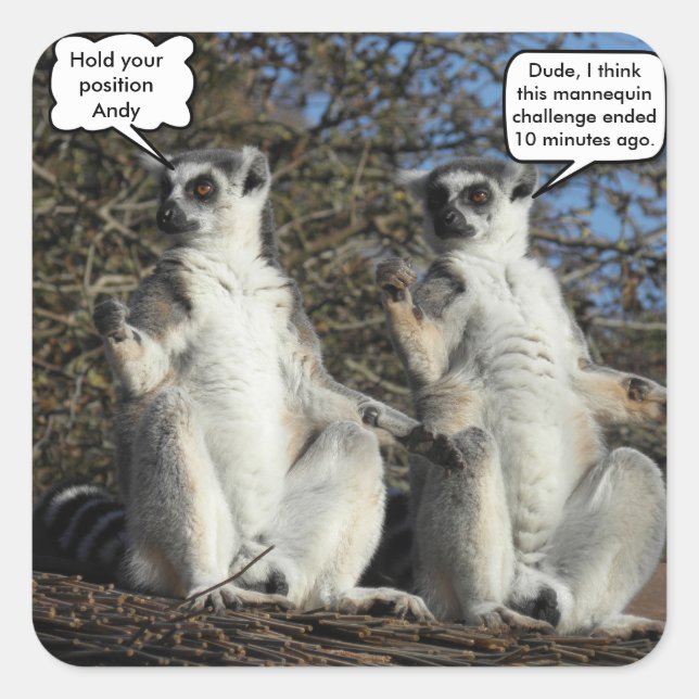 Mannequin Challenged Lemurs Square Sticker (Front)