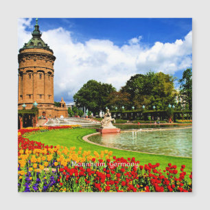Mannheim, Germany beautiful landscape photograph
