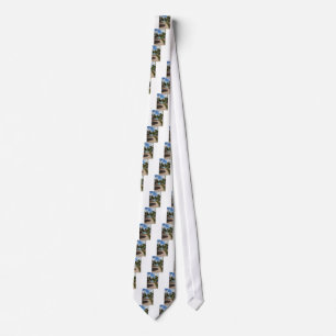 Mano Juan village in Saona Domenican Republic Tie