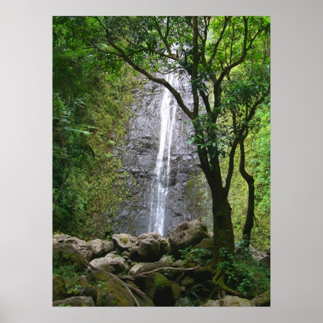 Manoa Falls, O'ahu, Hawai'i Poster (Front)