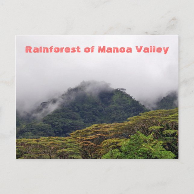 Manoa Valley Rainforest Postcard (Front)