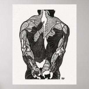 Man's Anatomy 5 Poster