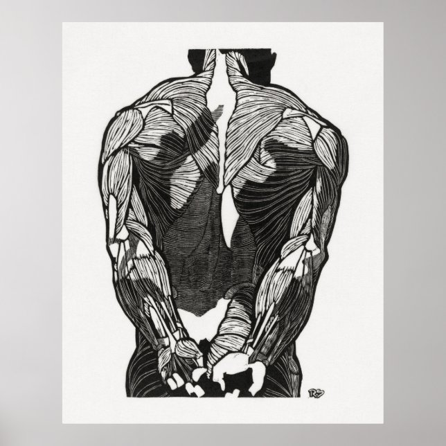 Man's Anatomy 5 Poster (Front)