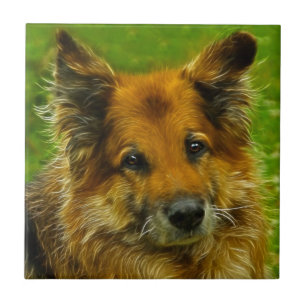 Man's Best Friend #2 Ceramic Tile