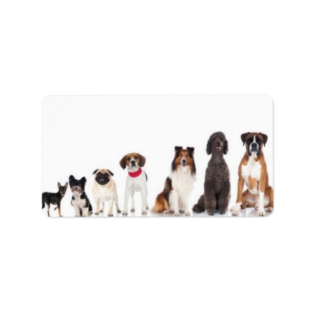 "man's best friend." label (Front)