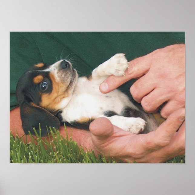 Man's Best Friend Poster (Front)