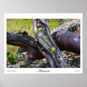 Mansanita Prints