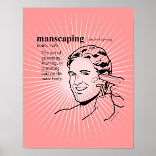 MANSCAPING POSTER