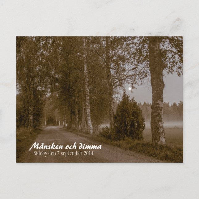 Månsken och dimma CC0545 Sideby Postcard (Front)