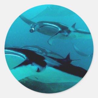 Manta Invasion Classic Round Sticker
