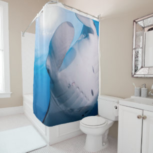Manta Mania : Cute Manta ray in sunshine Shower Curtain
