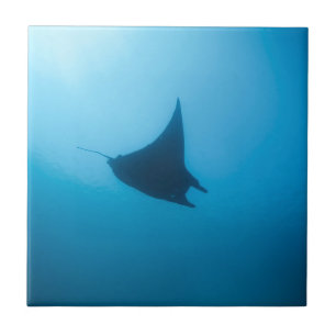 Manta ray blue ocean cleaning station ceramic tile