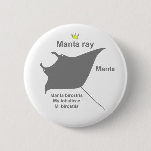 Manta ray g5 6 cm round badge