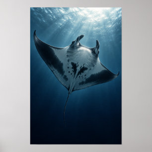 Manta Ray Gliding Beneath Ocean Sunlight Marine Wa Poster