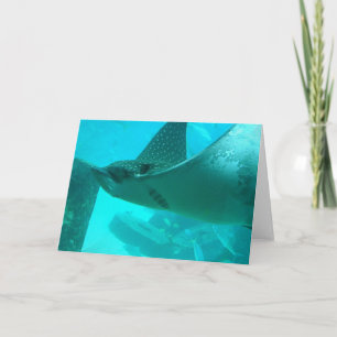 Manta Ray Greeting Card