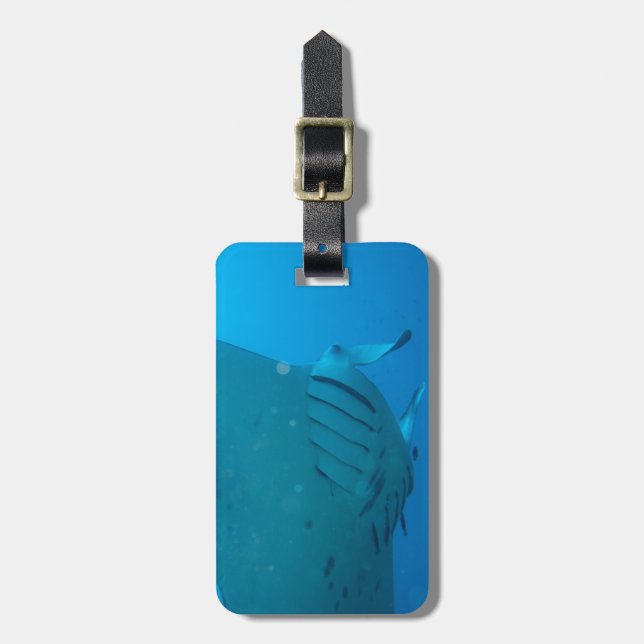 Manta Ray Luggage Tag (Front Vertical)