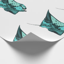 Manta Ray, (Manta birostris)
