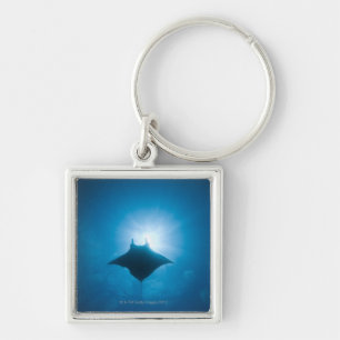 Manta swimming underwater key ring