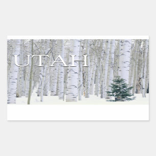 Manti-LaSal National Forest, Utah Rectangular Sticker
