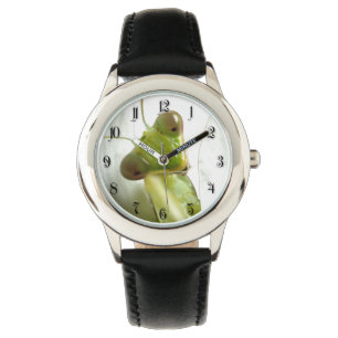 Mantid Watch
