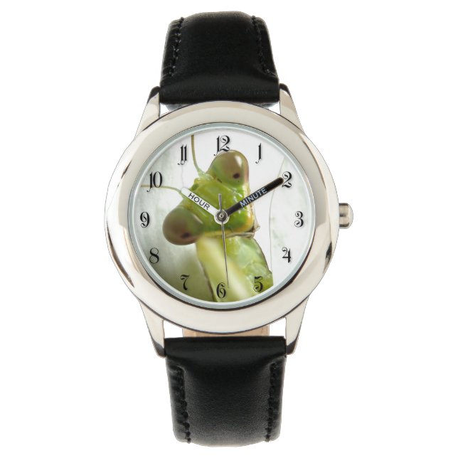 Mantid Watch (Front)