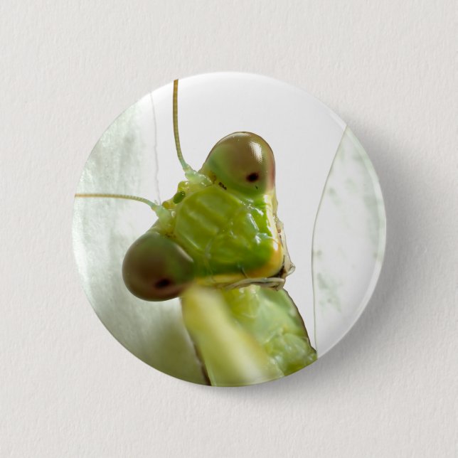 Mantids 6 Cm Round Badge (Front)